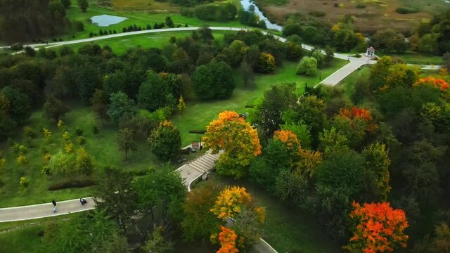 Flight over the autumn park in cloudy weather. Trees with yellow autumn leaves are visible. Walking paths of the park. Aerial photography.