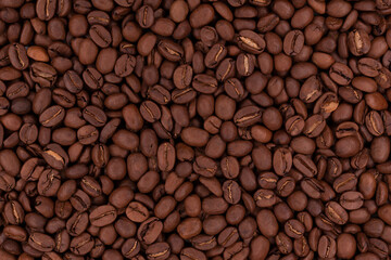 Fresh roasted coffee beans as a background