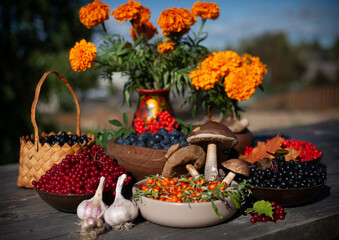 a celebraton of the Harvest Festival in the countryside; A colourful still life with berries, flowers and mushrooms