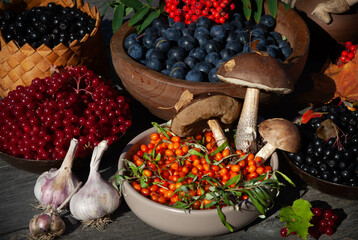 a celebraton of the Harvest Festival in the countryside; A colourful still life with berries, flowers and mushrooms