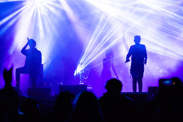 crowd at concert and silhouettes in stage lights