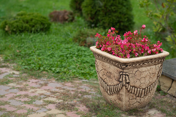 Beautiful flower bed in the form of a vase with pink flowers in the garden. Natural background for a private house. Decorative design of the site - landscape design for the Greek culture