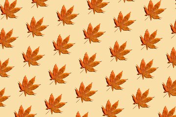 Fallen autumn leaves pattern on pastel beige background. Creative top view layout. Flat lay. Minimal abstract fall and season specific concept.