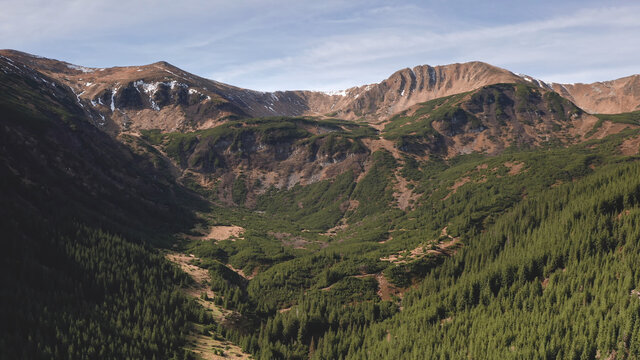 Aerial fir forest at green mountain ridges. Rock mount tops. Nobody nature landscape. Relax and recreation. mountaineering lifesyle. Greenery grass hills. Carpathians ranges, Ukraine, Europe