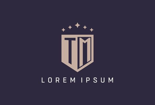 TM initial shield logo icon geometric style design