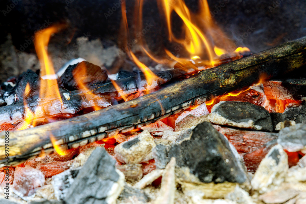 Wall mural smouldering burning fire burning wood in the fireplace