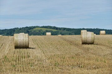 Fototapeta premium Abgeerntetes Getreidefeld leicht ansteigend mit runden Strohballen und Berg im Hintergrund