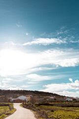 Fototapete bei efototapeten.de bestellen   