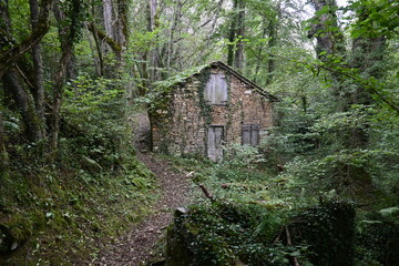 maison abandonnée dans la montagne au milieu d'une forêt