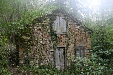 maison abandonnée dans la montagne au milieu d'une forêt