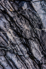 Texture