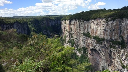 Naklejka premium Natureza