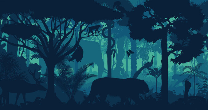 Vector evening tropical rainforest Jungle background with tiger, cobra, elephant, peafowl, monkey, deer, python, fruit bat and great hornbill