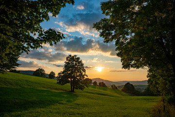 Fototapeta na wymiar Landschaft bei Sonnenuntergang, Baum, Wiese, Sonne, Hügel
