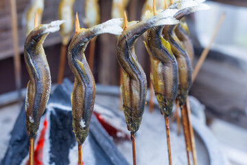 grilled ayu fish with salt on the brazier