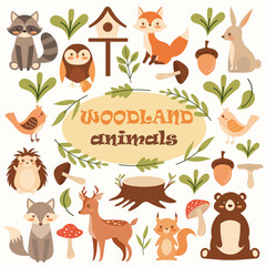 Woodland animals set. Forest cute. Vector