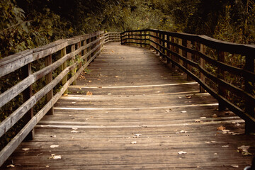 Wooden bridge.
