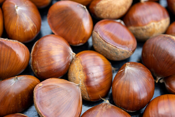 Image of many chestnuts in a pile