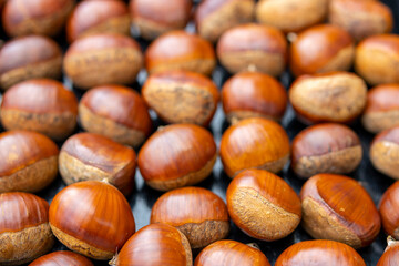 Image of many chestnuts in a pile