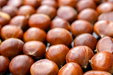 Image of many chestnuts in a pile