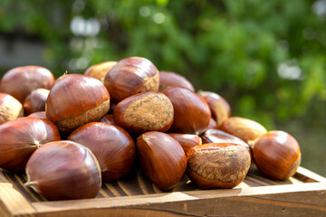 Image of many chestnuts in a pile