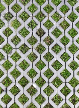 Rectangular brick frame with grass inside