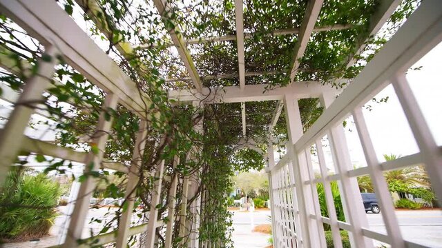 Pov point of view walking under patio outdoor spring flower garden trellis wooden white pergola arch in backyard porch of home climbing covering vine plant in Seaside, Florida