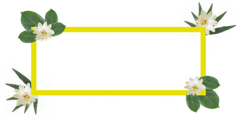 Beautiful tropical leaf frame with flowers isolated on white background .idea for design text