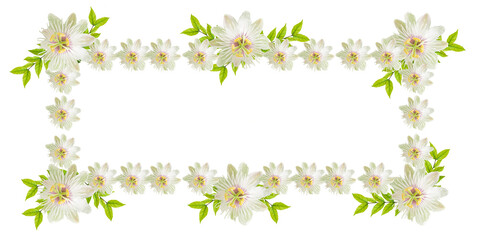 Beautiful tropical leaf frame with flowers isolated on white background .idea for design text