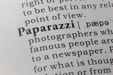definition of paparazzi