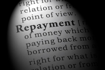 definition of repayment