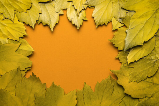 A frame of yellow autumn leaves on an orange background. Space for the text. Flat lay.