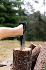 An axe stuck in a log in front of a campfire