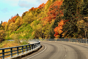 幻の道道1116号線の紅葉