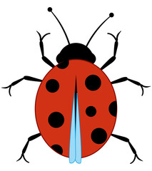 Small beautiful spotted insect ladybug type overhand
