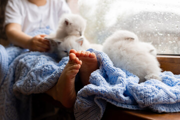 child with bare feet covered with a blue knitted blanket is sitting on the windowsill with white...