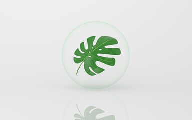 Monstera and bubble with white background, 3d rendering.