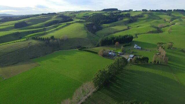Beautiful green field landscape of the New Zealand.
뉴질랜드, 목초지, 목장, 양.
