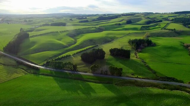 Beautiful green field landscape of the New Zealand.
뉴질랜드, 목초지, 목장, 양.