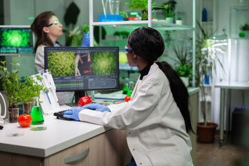 African american doctor researcher typing biochemistry medical expertise analyzing plant with...