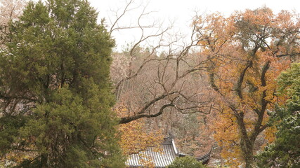 The typical classical Chinese temple buildings view located in the suburb woods of the mountains