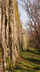 The old stone city wall landscape view located in Nanjing city of the China