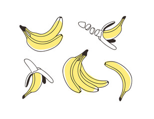 Doodle Banana. Hand drawn stylish fruit and vegetable. Vector artistic drawing fresh organic food. Summer illustration vegan ingrediens for smoothies