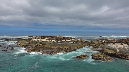 A colony of fur seals lives on a rocky island in the Atlantic Ocean.Many animals lie on the stones. Turquoise waves are foaming. Cloudy sky. South Africa. 