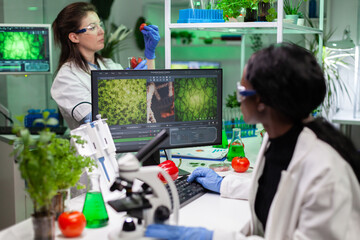 African american biologist scientist analyzing genetically modified plant expertise on computer...