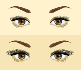 eyelashes extension. . Before and after effect. Beauty open eye with short and long eyelashes Vector illustration.