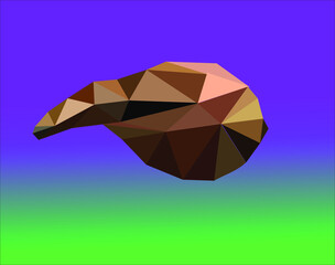 This is an  image of low poly vector illustration of coconut.