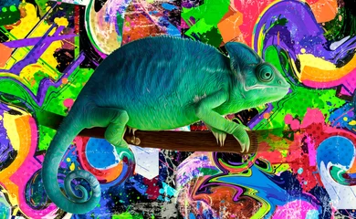 Poster abstract background with chameleon color art © reznik_val