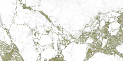 white carrara statuario marble texture background, calacatta glossy marble with green streaks, satvario tiles, banco superwhite, ittalian blanco catedra stone texture for digital wall and floor tiles