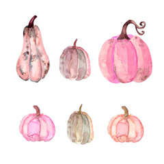 Watercolor pumpkins collection pink color. Hand drawn illustraion. autumn set of elements on isolated white background - 459824376